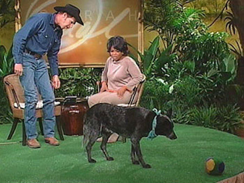 Oprah--skidboot Oprah--skidboot