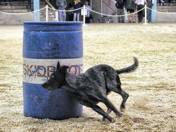 Skidboot-barrel-racing-1 Skidboot-barrel-racing-1