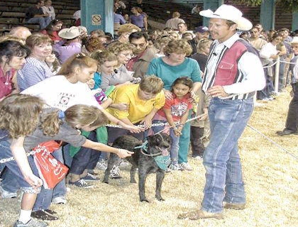 db_37_PA0705221 db_37_PA0705221