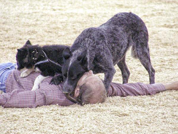 db_41_PA1810581 db_41_PA1810581